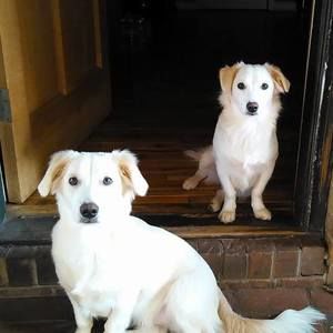 Meet your Posher, Linda